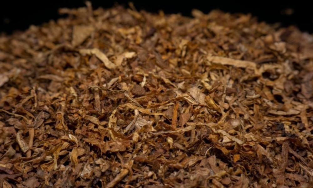 В России за незаконный оборот табачной и никотинсодержащей продукции будет грозить тюрьма 