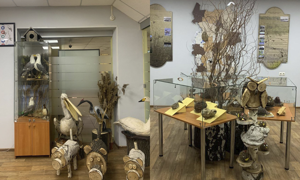 В Омске появится Музей природы в парке «Птичья гавань»