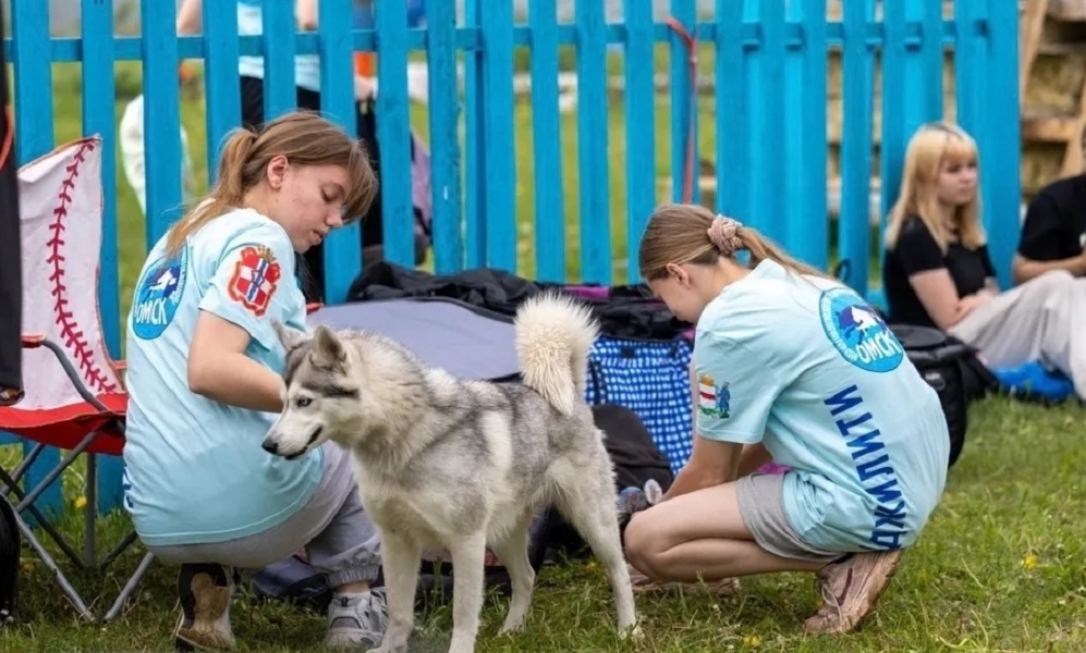 Чемпионат Сибири по кинологическому спорту собрал в Омске более 50 участников