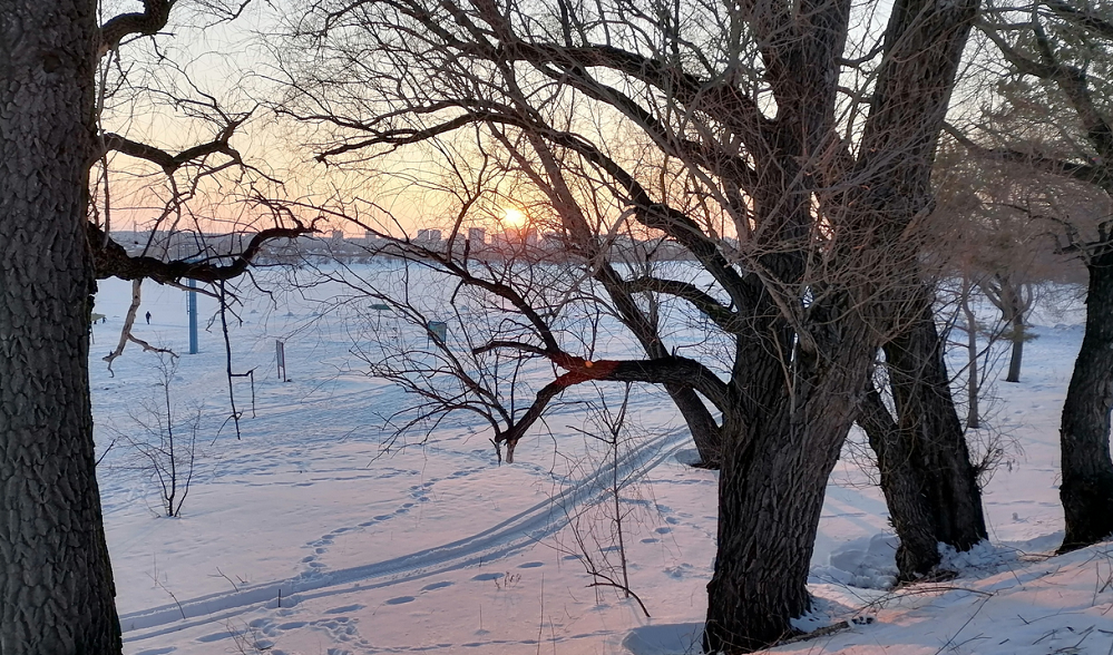 На Омскую область надвигается морозный циклон