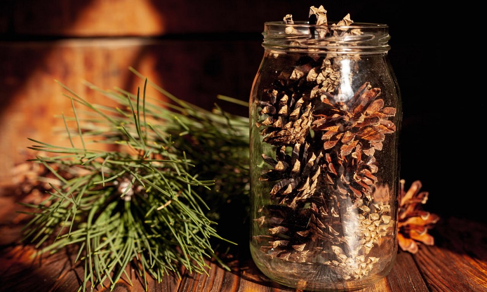 Сибирское варенье из шишек попало в рейтинг любимых сладостей путешественников