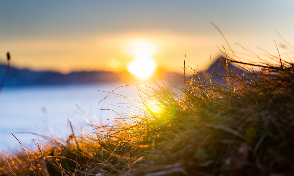 Солнце и тепло: в Омской области в пятницу температура воздуха поднимется до +25 °С