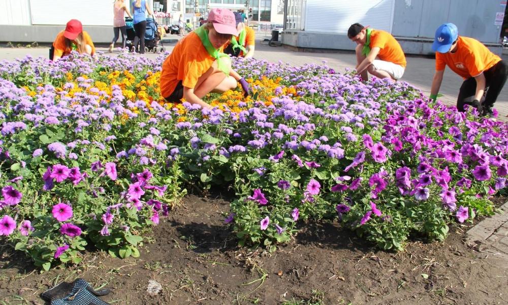 На летние каникулы в Советском округе трудоустроились более 400 подростков 