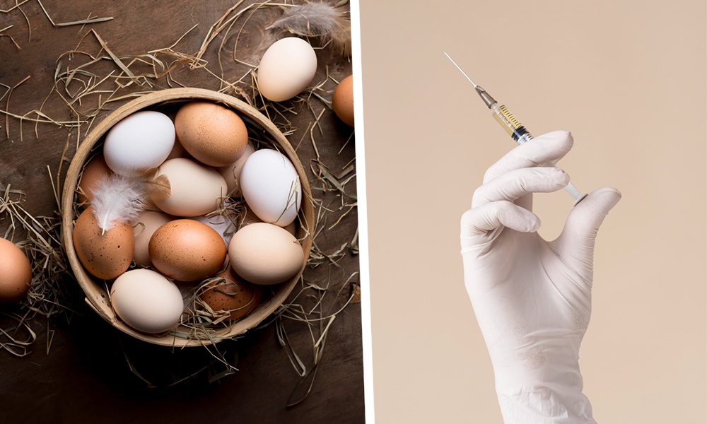 Цены на яйца, вакцина от кори и внешняя политика: о чём говорил Владимир Путин на третьем часу Прямой линии