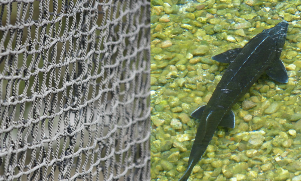 Ущерб более чем в 150 тысяч рублей, арест автомобиля и уголовное дело: омичи неудачно сходили на рыбалку