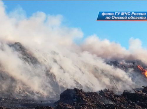 За информацию о поджигателях Кировского полигона Омска заплатят 100 тысяч рублей
