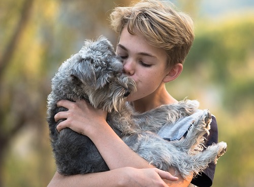 Средства омских догхантеров могут отравить детей