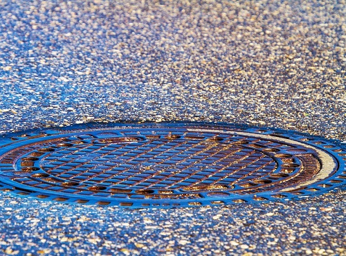 В Омске собака провалилась в колодец