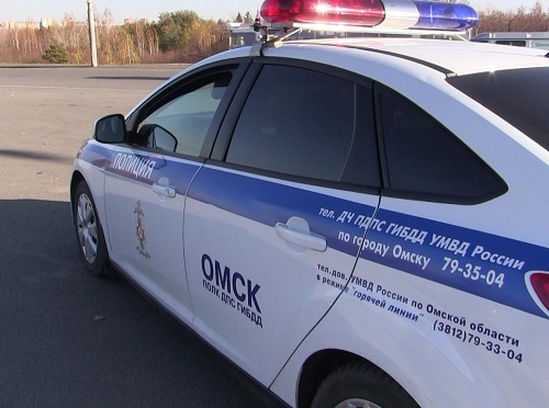 В Омской области Toyota сбила переходившую в неположенном месте 5-летнюю девочку