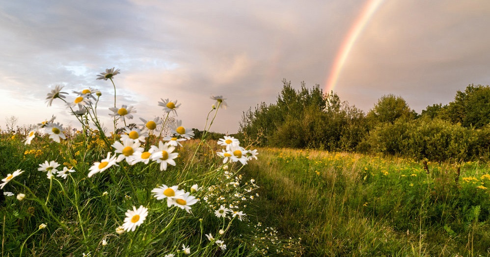 Июль в Омском регионе может побить все климатические рекорды