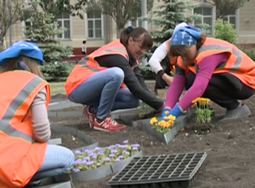 Вандалы в Омске потрошат клумбы