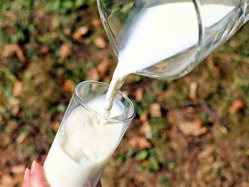 Молочную продукцию в России будут продавать по новым правилам