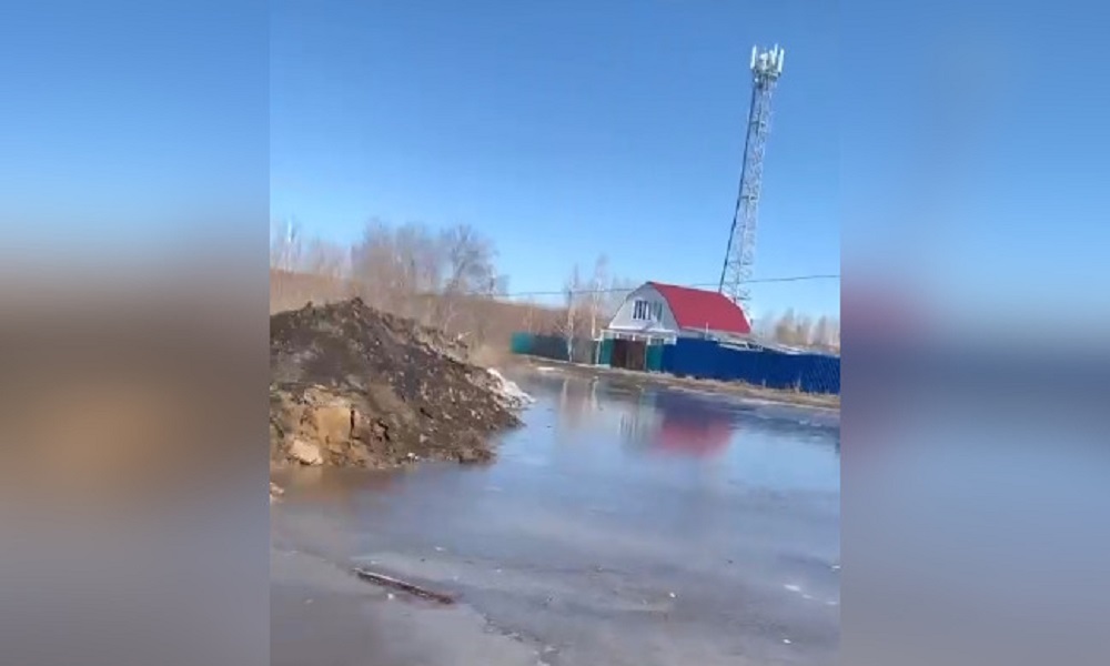 Омичи обвинили ондатр в затоплении улицы в Омске