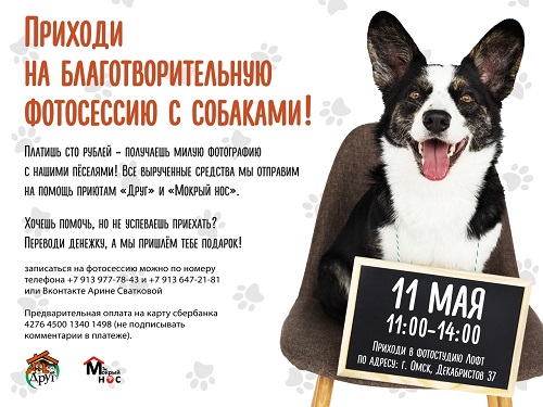 В Омске пройдёт благотворительная фотосессия с собаками