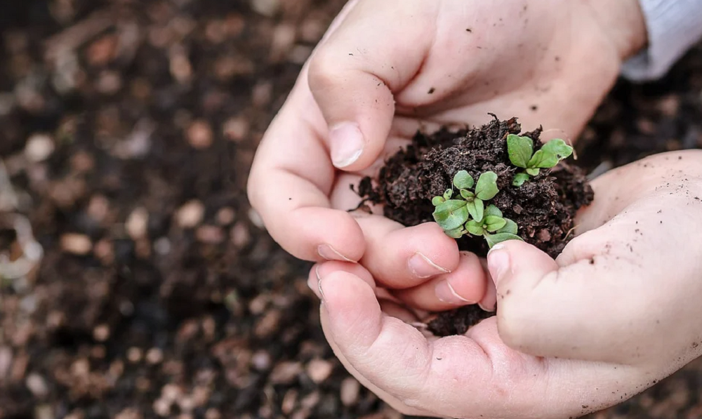 8 тысяч юных омичей смогут подзаработать этим летом