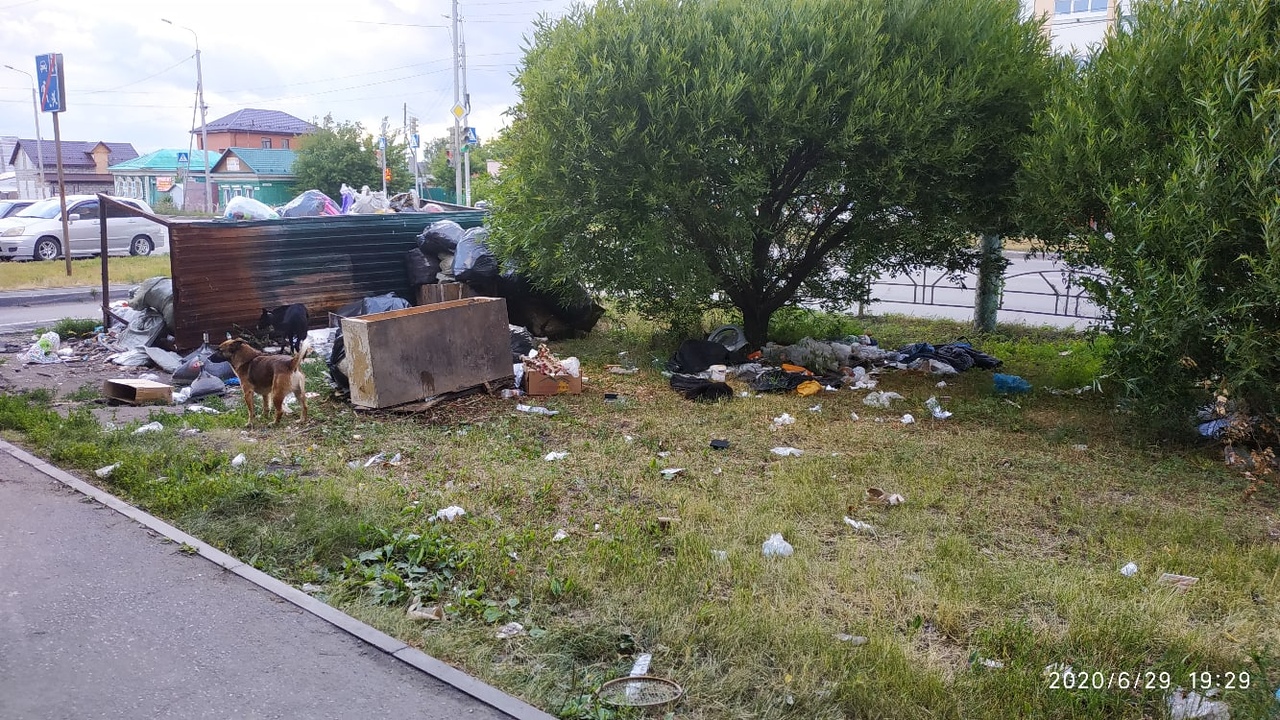 В областном минприроды объяснили, как добиться перерасчёта за невывоз мусора