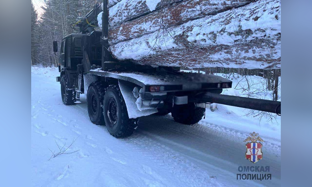 Омича задержали за вырубку лиственниц на 200 тысяч рублей