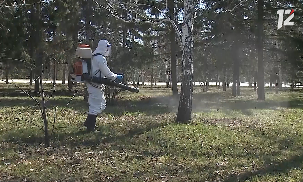 В омском парке 30-летия ВЛКСМ будет проведена обработка от клещей