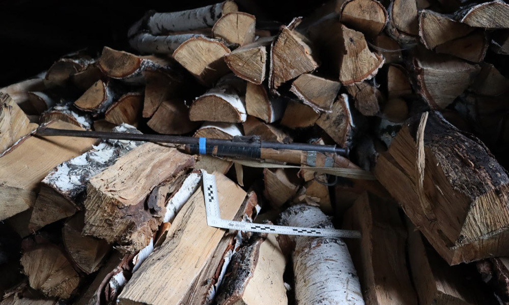 В Омской области мужчину подозревают в убийстве соседской собаки