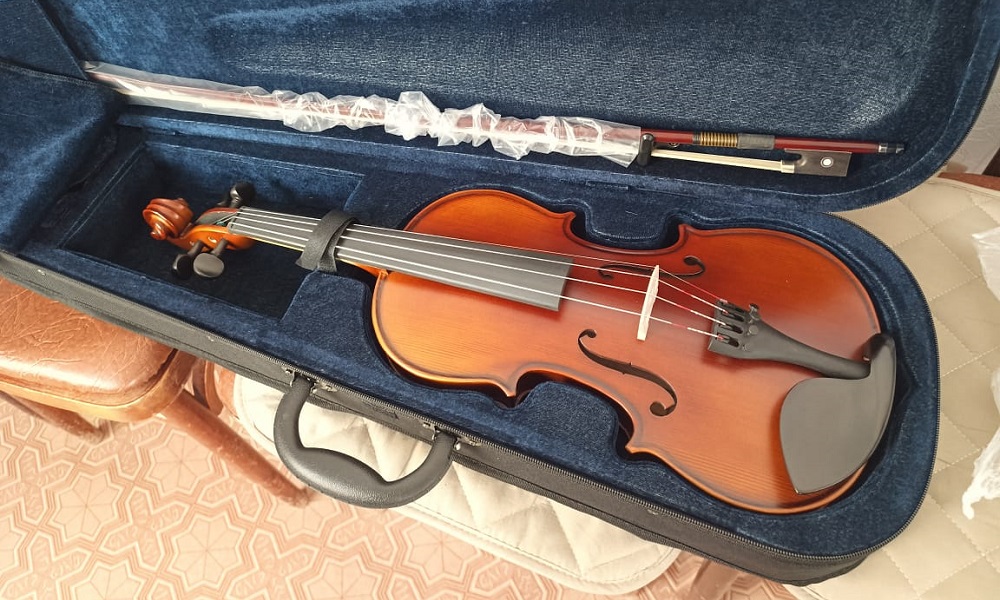 Омские ДШИ получили новые музыкальные инструменты