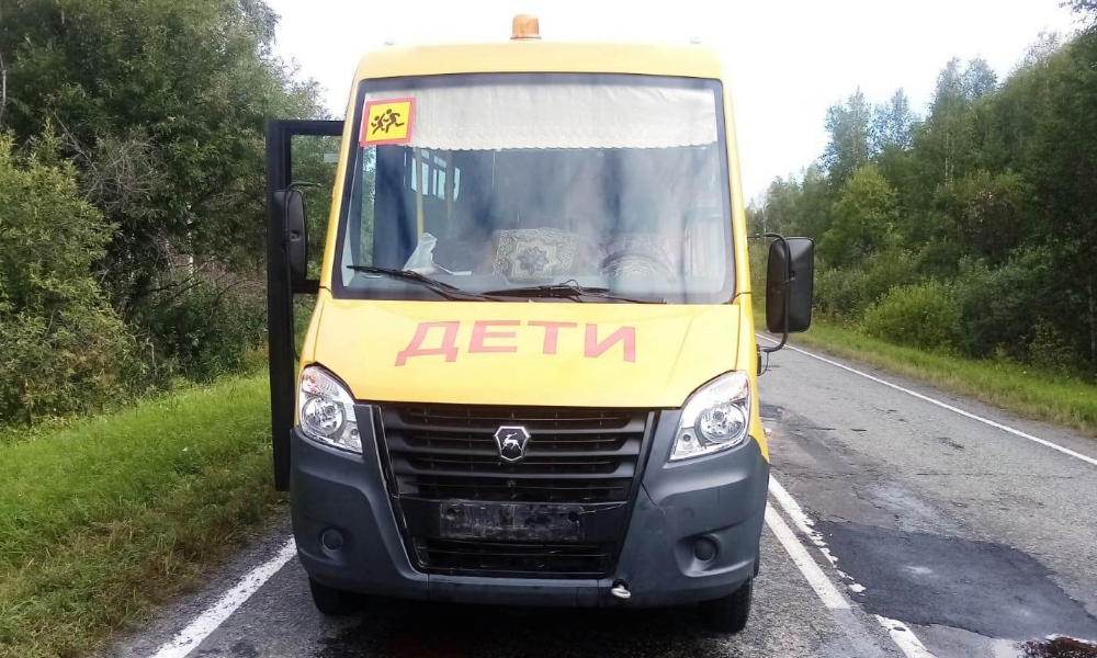 В Омской области «Газель» с детьми столкнулась с косулей