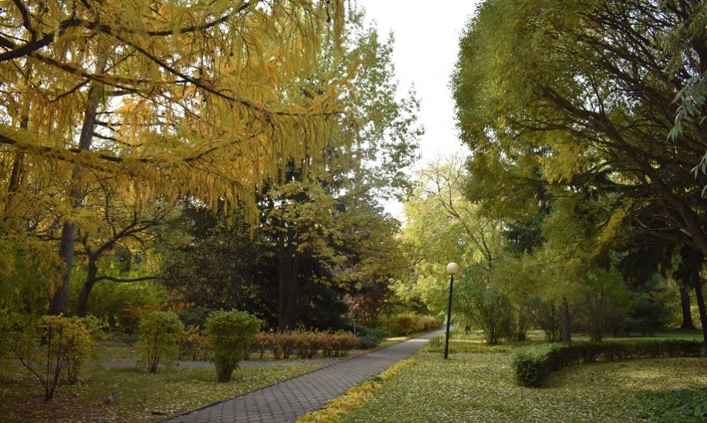 Какая погода ждёт омичей в октябре?