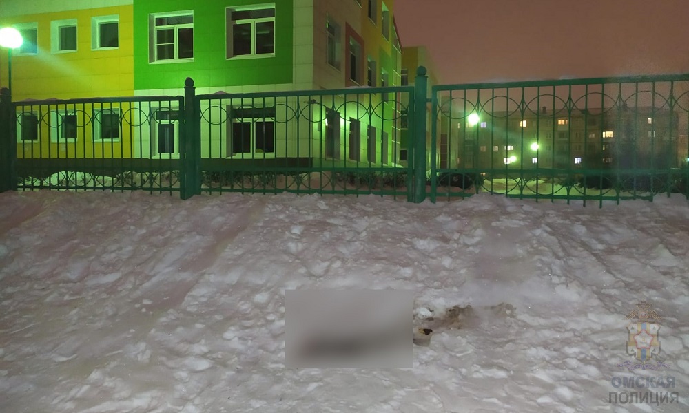 В Омске возле детского сада обнаружили труп убитой собаки 