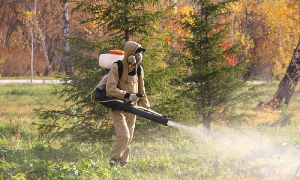 Мэрия Омска ищет исполнителя, который выполнит противоклещевую обработку в Ленинском и Центральном лесничествах