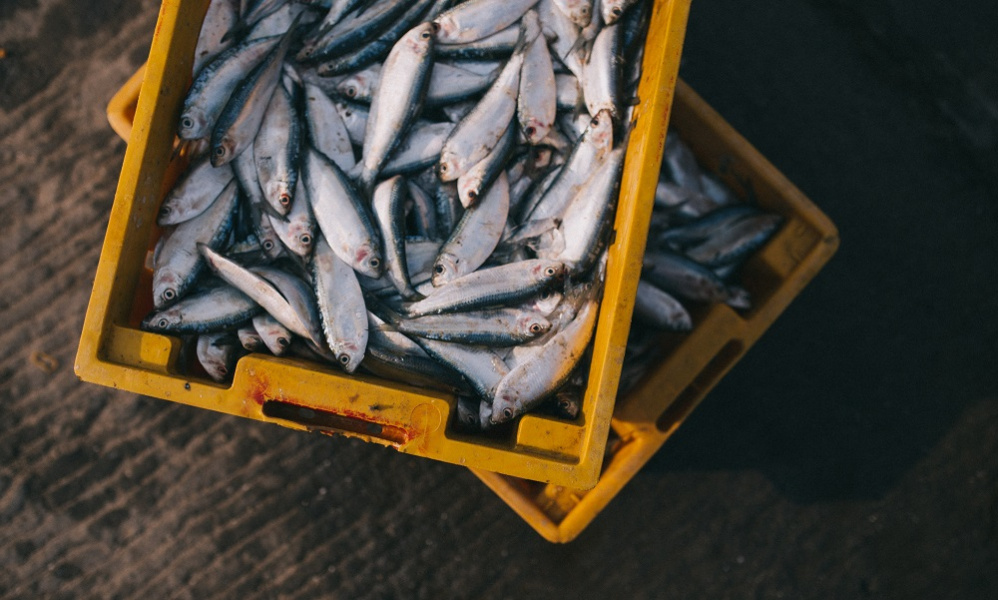 В омских магазинах могут продавать опасную продукцию