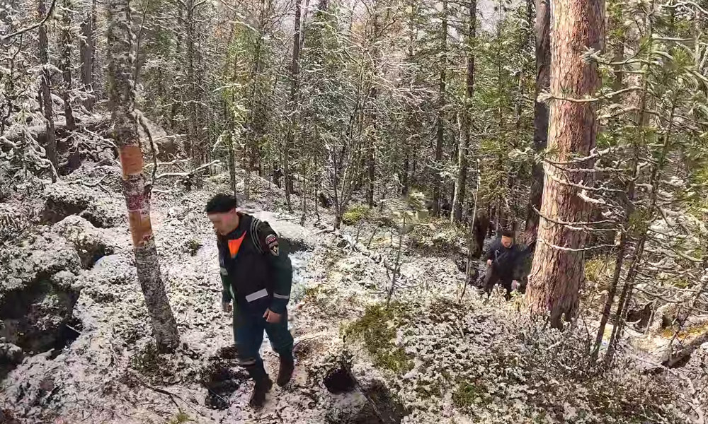 Омичи отправились в Красноярский край на поиски семьи, которая заблудилась в тайге