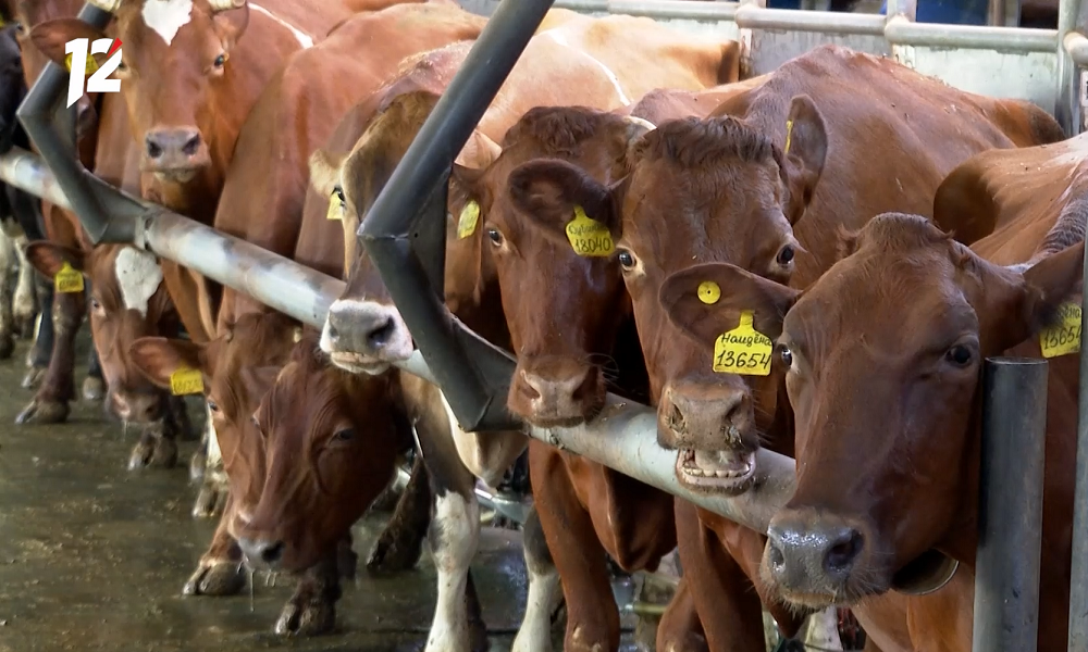 Омский Россельхознадзор запретил кормовую добавку из Франции 