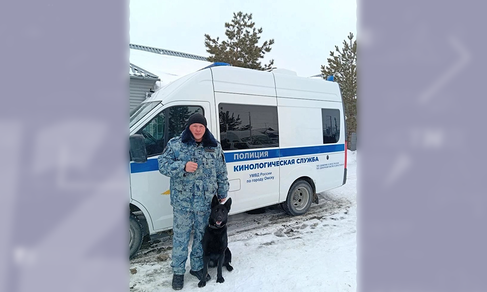 В Омске немецкая овчарка помогла раскрыть уголовное дело