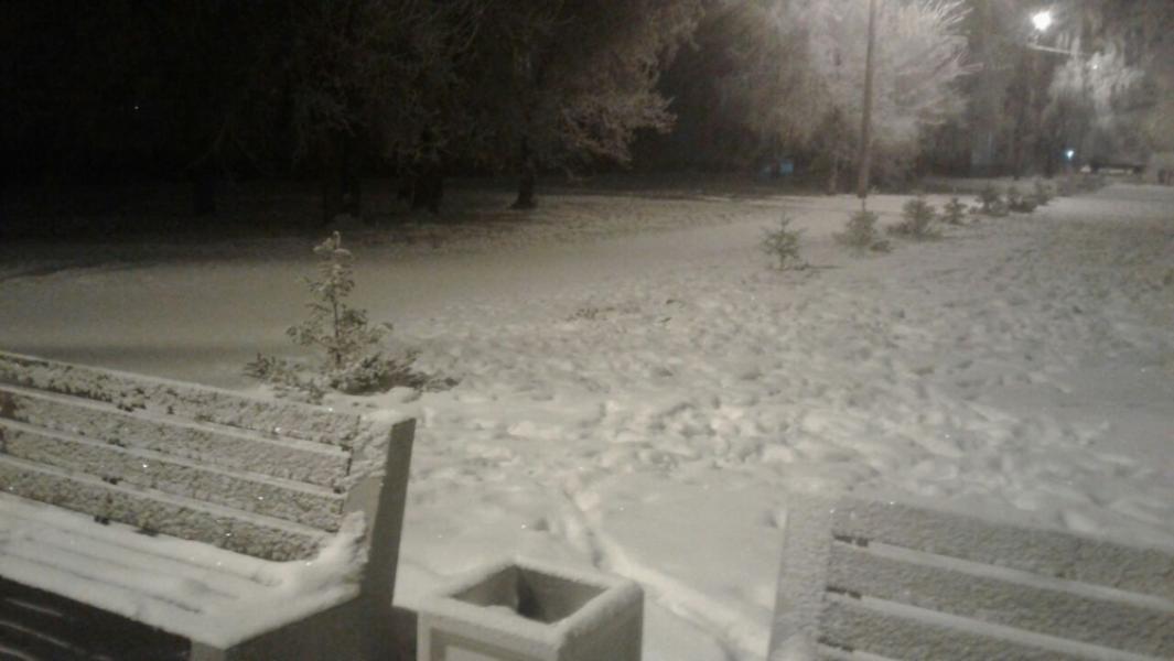 В Омске ищут нарушителей, которые срубили ёлку на аллее Памяти