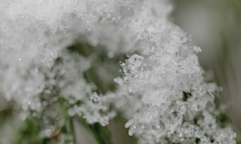 Омичей предупредили о перепадах температуры от 0 до -26 °C