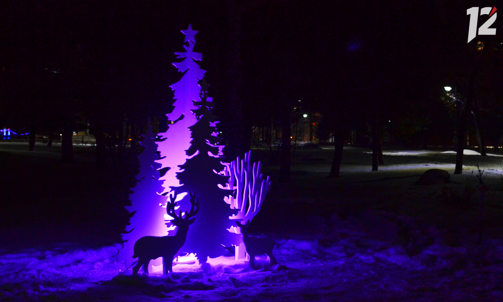 В Омске для парков закупят новогодние украшения на 800 тысяч рублей  