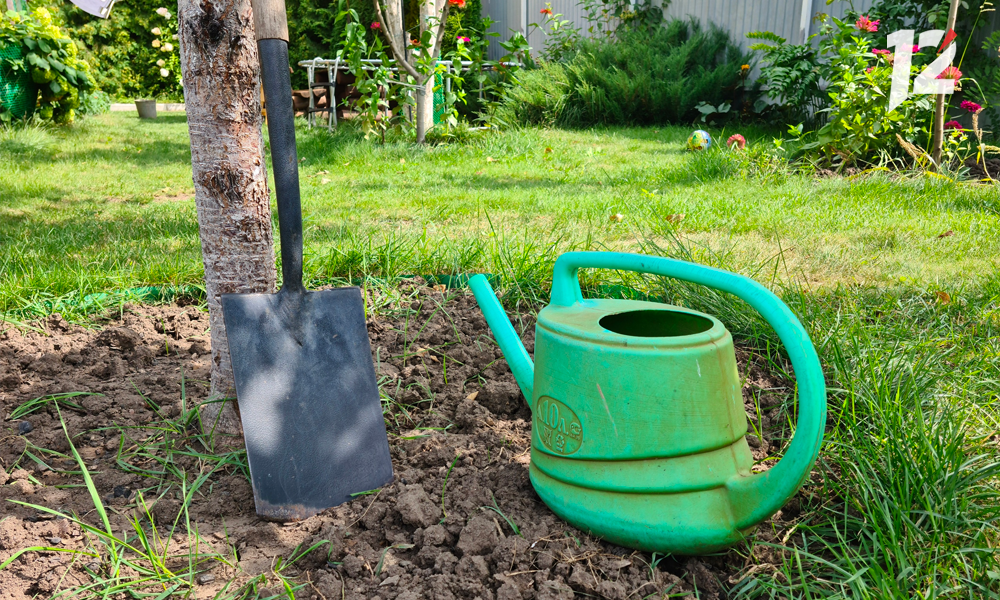 Больше 8 тысяч омских школьников смогли поработать этим летом