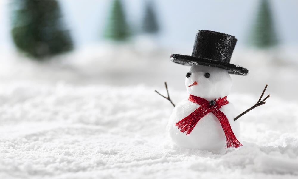 В Омске пройдёт уникальная выставка снеговиков