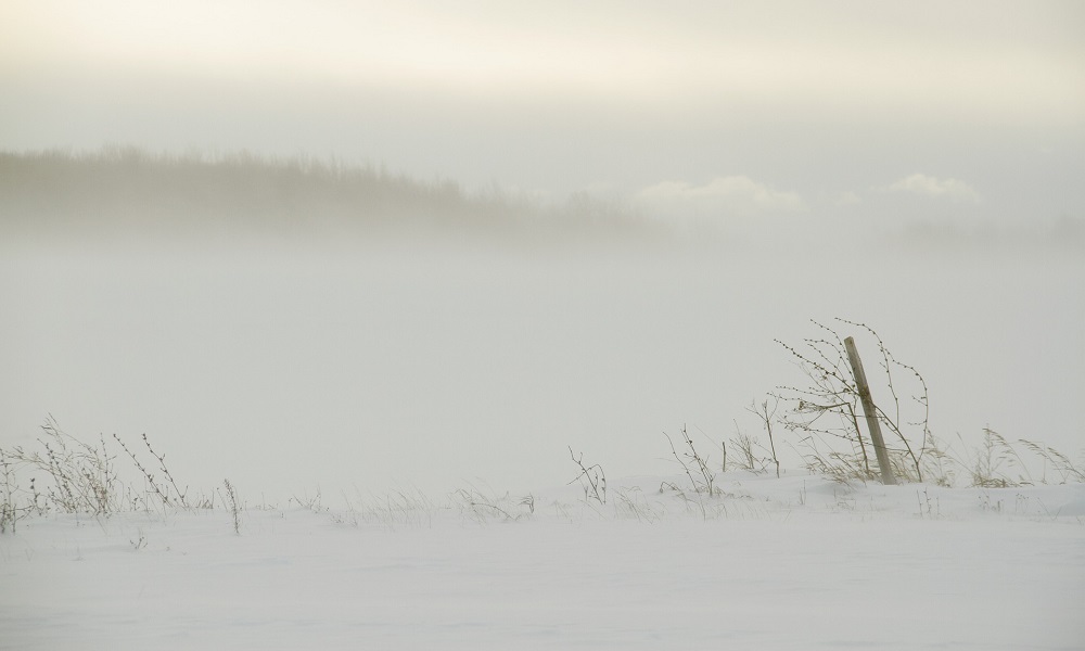 В выходные на Омск обрушатся дожди и шквалистый ветер