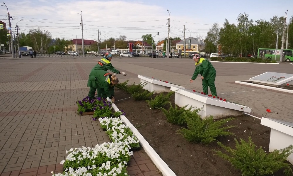 В Омске высадят можжевельник, вязы и кизильник