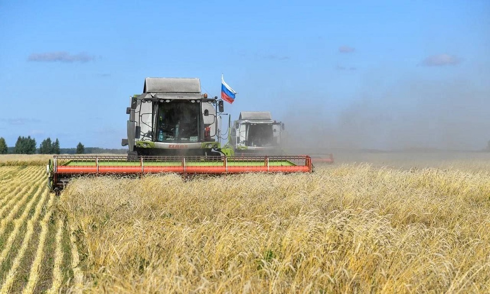 Омские фермеры собрали рекордный урожай зерна в объёме 2,7 млн тонн, отметил Виталий Хоценко