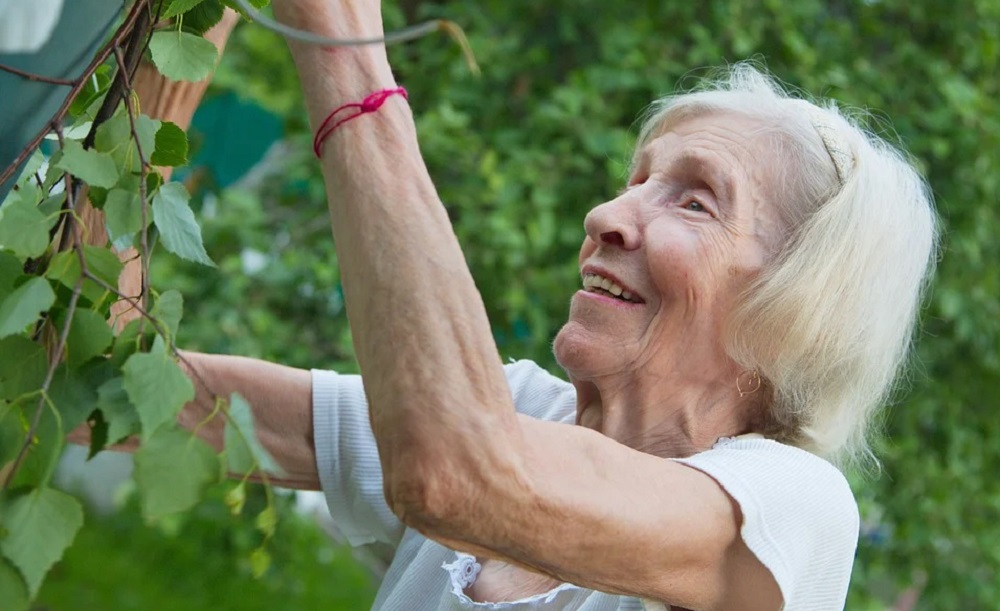 Омичам предлагают включить своих бабушек и дедушек в фотопроект "Какие наши годы"