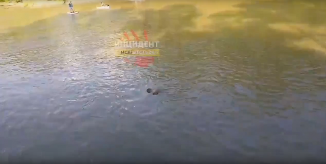  В протоке Иртыша выловили тело 32-летнего мужчины  