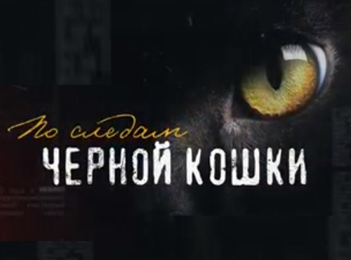 Телезрителей 12 канала ждет марафон любимых программ