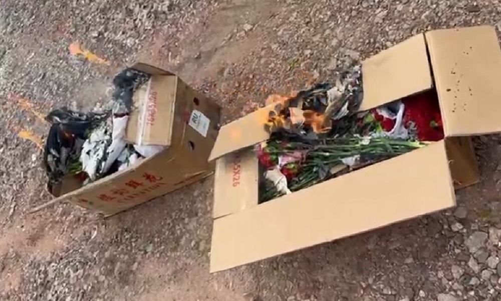 В Омск из Китая привезли партию гвоздик, где было обнаружено вредное карантинное насекомое