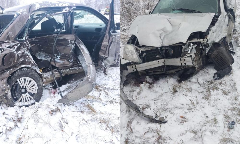 На трассе Омск — Муромцево столкнулись две иномарки, пострадал ребёнок [ФОТО]