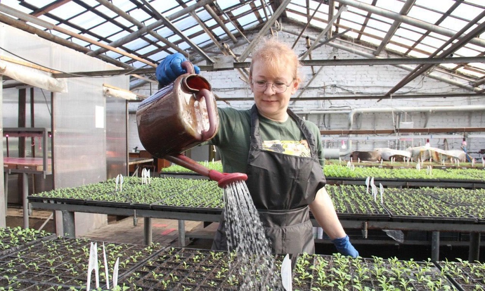 В Омске к 9 Мая высадят более 50 тысяч цветов