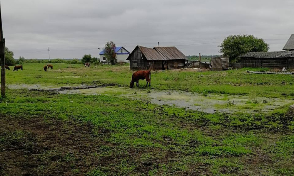 По поручению Виталия Хоценко в деревне Эрбагуль ведутся работы по ликвидации последствий паводка