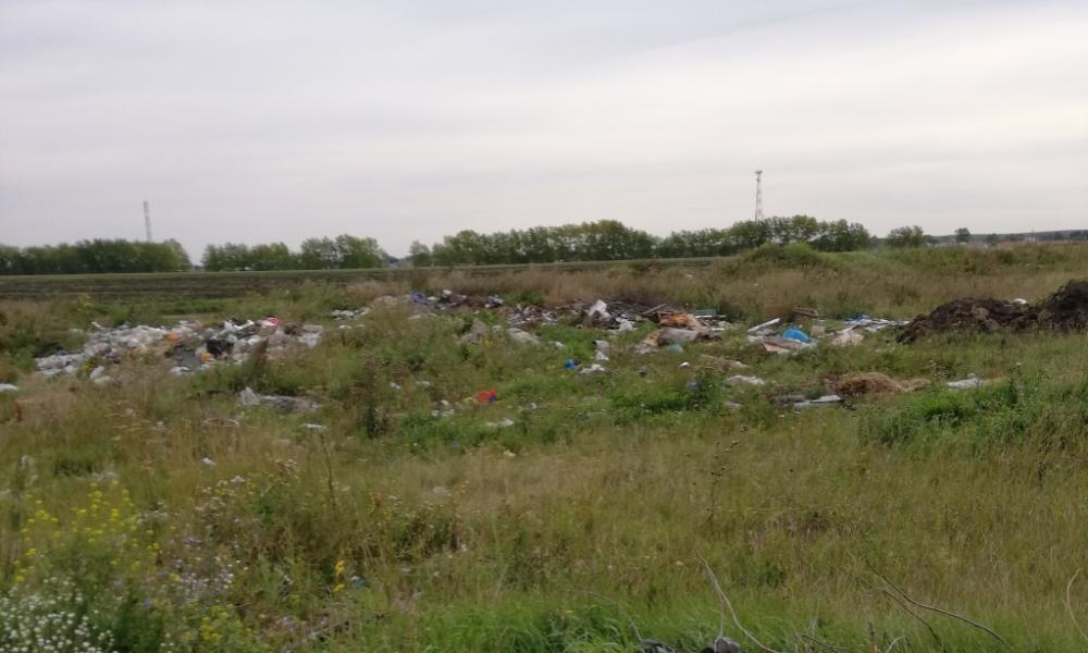 Специалисты омского Россельхознадзора обнаружили свалку на пастбищах в Нижнеомском районе 