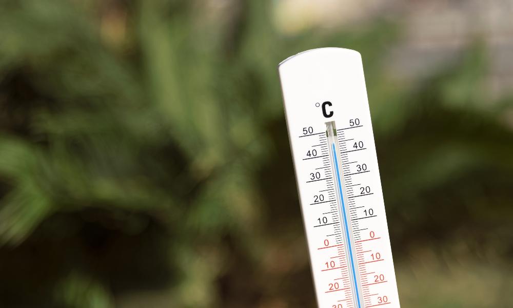 В мае в Омской области среднемесячная температура составила от +11 до +14 градусов