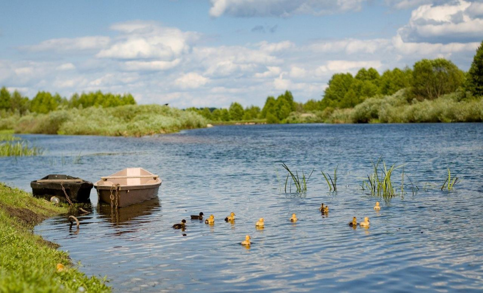 Рабочая неделя в Омске начнётся с жары и гроз